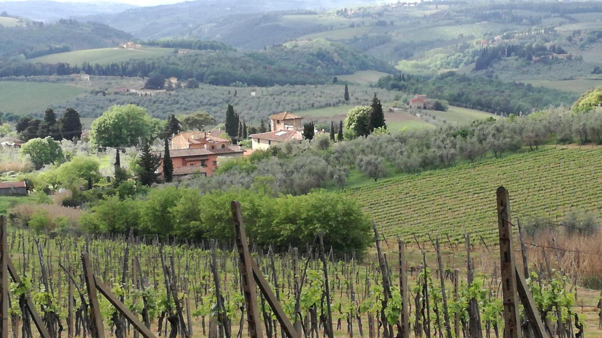 Mercatale Val Di Pesa Agriturismo Podere La Cava المظهر الخارجي الصورة